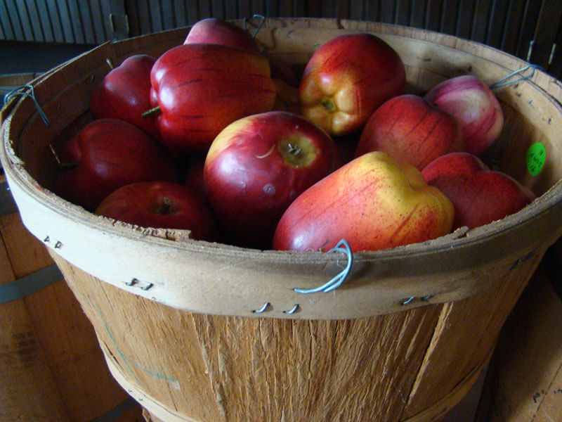 Basket-of-Apples
